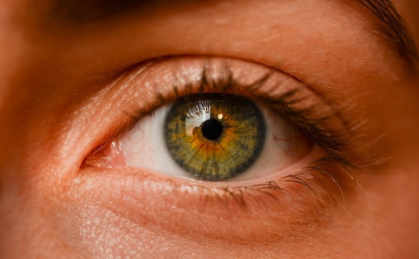 Oczy to wyrafinowany organ. To otóż to dzięki nim spostrzegamy.